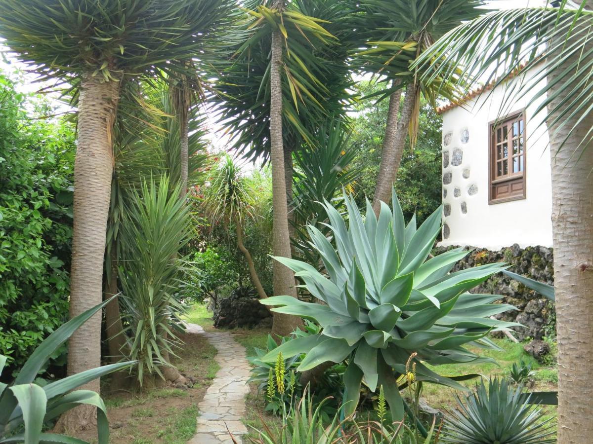 이코드레로스비노스 La Casita De La Vega 아파트 외부 사진