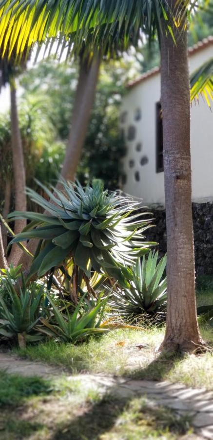 이코드레로스비노스 La Casita De La Vega 아파트 외부 사진