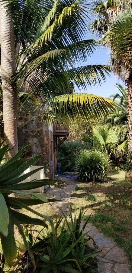 이코드레로스비노스 La Casita De La Vega 아파트 외부 사진