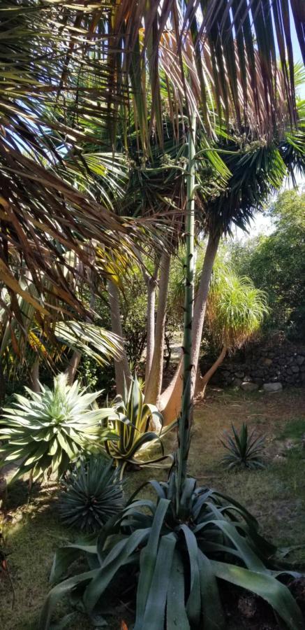 이코드레로스비노스 La Casita De La Vega 아파트 외부 사진