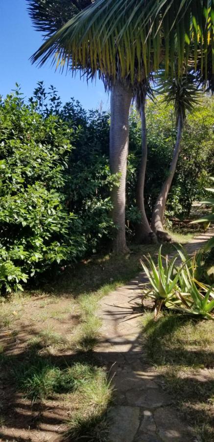이코드레로스비노스 La Casita De La Vega 아파트 외부 사진