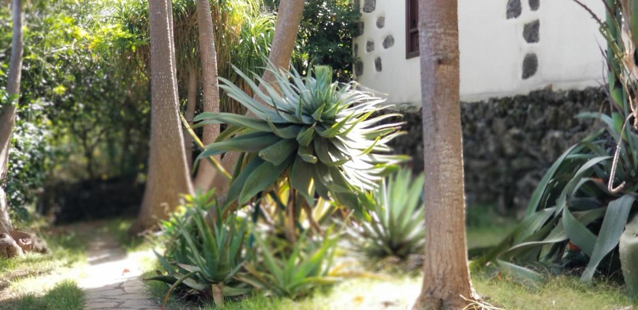 이코드레로스비노스 La Casita De La Vega 아파트 외부 사진