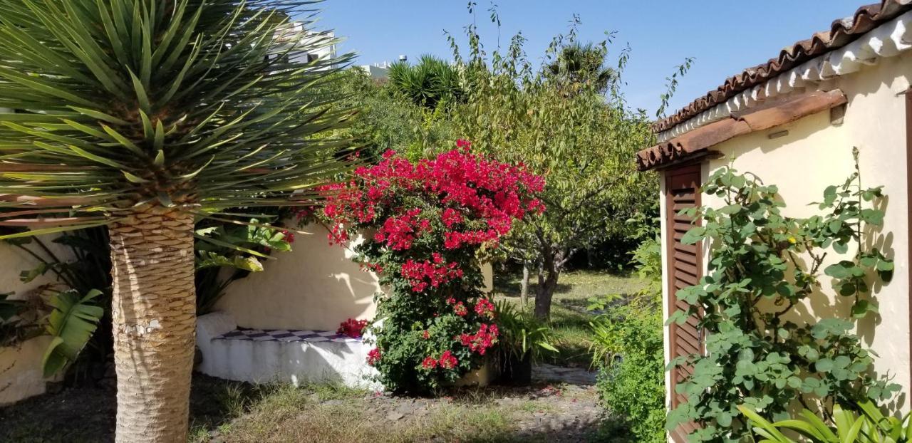 이코드레로스비노스 La Casita De La Vega 아파트 외부 사진